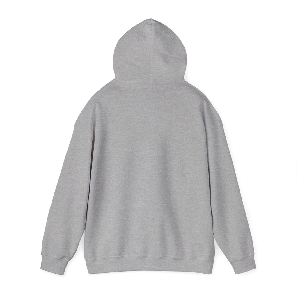 Halloween Hoodie - "Here For The Boos" Pumpkin Skull Graphic